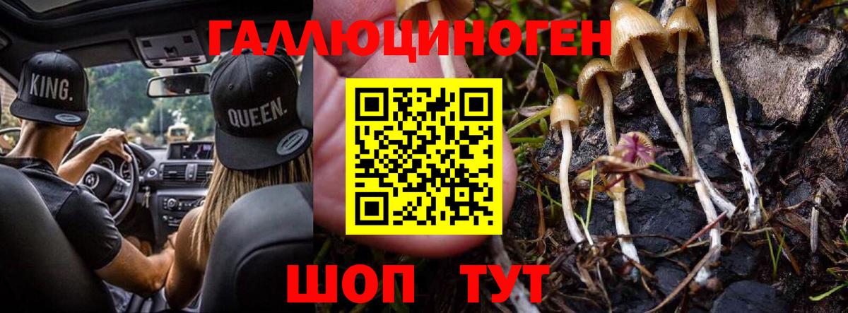 Псилоцибиновые грибы мицелий Хабаровск
