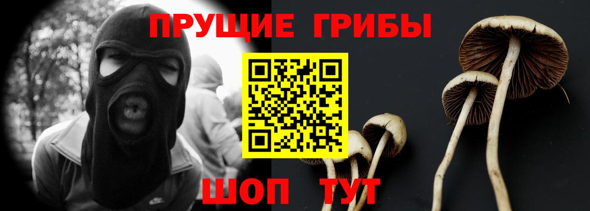 Галлюциногенные грибы Cubensis  как найти закладки  Хабаровск  Псилоцибиновые грибы Psilocybine cubensis  Вход с VPN 